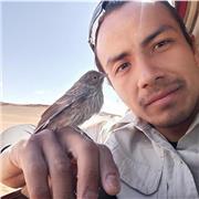 Doy clases enseñanza básica y media adaptada a cada alumno, enfocada en ciencias naturales